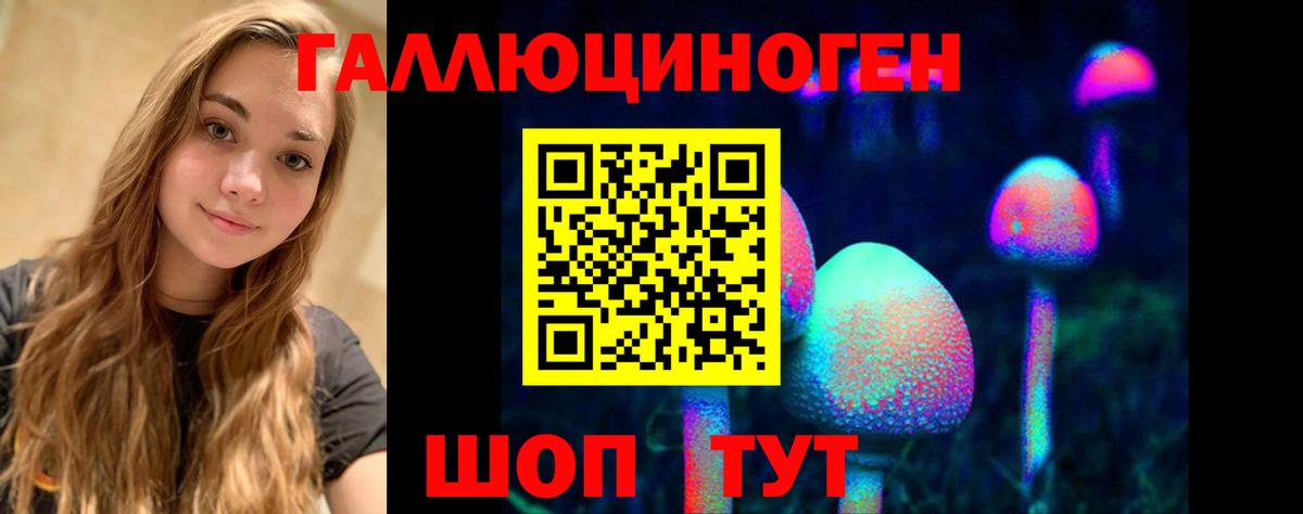 Ревда  Галлюциногенные грибы Magic Shrooms  купить закладку  Вход с VPN  Псилоцибиновые грибы Psilocybe 